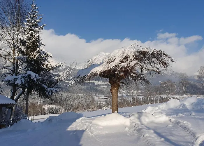 Bauernhof Neu-endfelden, Guenter Widauer Farm stay Soll