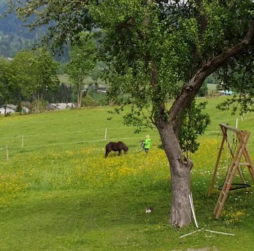 Bauernhof Neu-endfelden, Guenter Widauer Farma