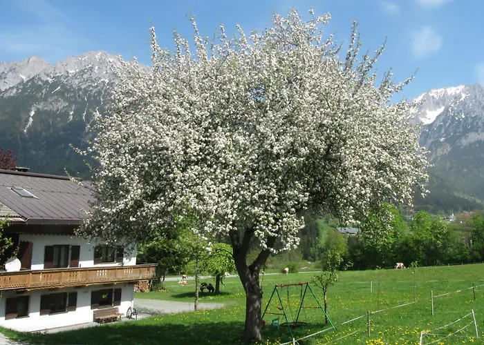 Bauernhof Neu-endfelden, Günter Widauer *