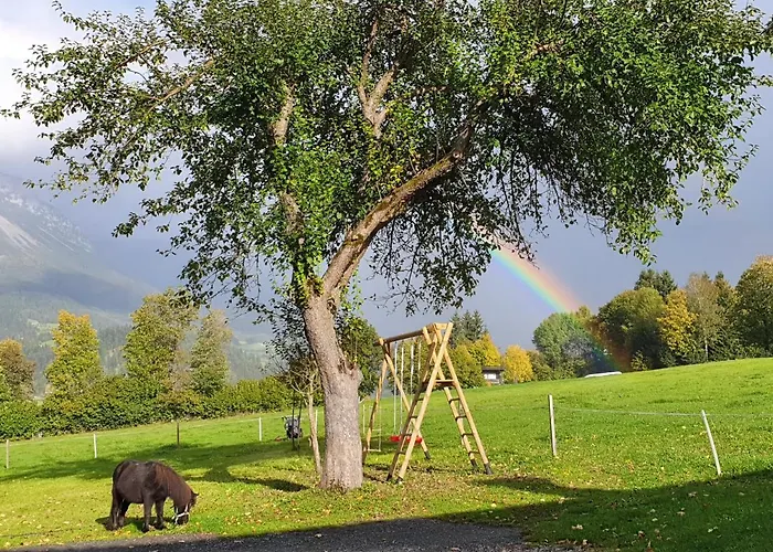 Bauernhof Neu-endfelden, Günter Widauer