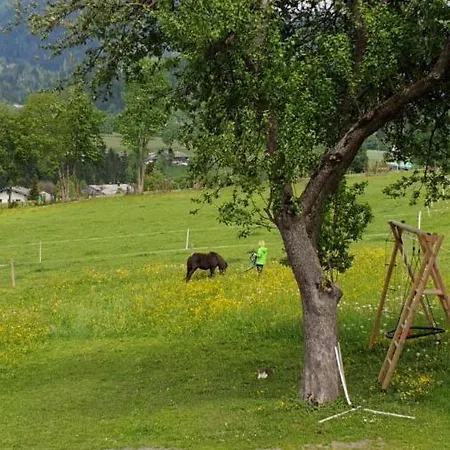Bauernhof Neu-endfelden, Guenter Widauer Alloggio per agriturismo