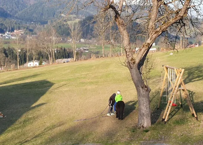 Bauernhof Neu-endfelden, Guenter Widauer